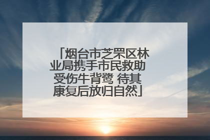 烟台市芝罘区林业局携手市民救助受伤牛背鹭 待其康复后放归自然
