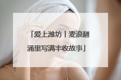 爱上潍坊丨麦浪翻涌里写满丰收故事