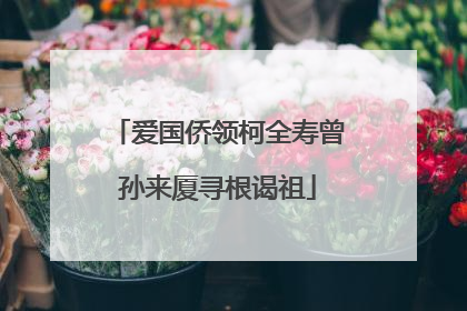 爱国侨领柯全寿曾孙来厦寻根谒祖
