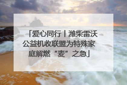 爱心同行丨潍柴雷沃公益机收联盟为特殊家庭解燃“麦”之急