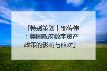 特别策划丨邹传伟：美国政府数字资产政策的影响与应对