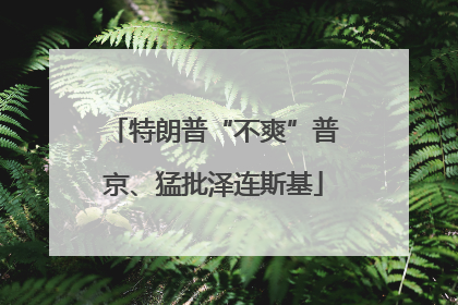 特朗普“不爽”普京、猛批泽连斯基