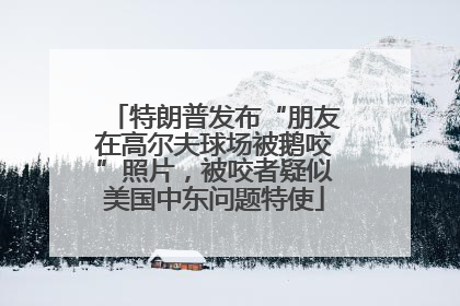 特朗普发布“朋友在高尔夫球场被鹅咬”照片，被咬者疑似美国中东问题特使