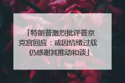 特朗普激烈批评普京 克宫回应：或因情绪过载 仍感谢其推动和谈