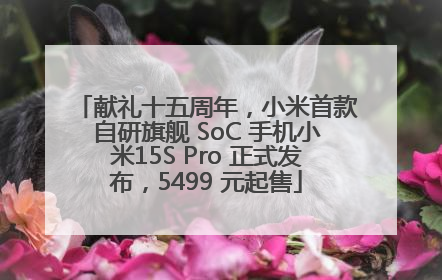 献礼十五周年，小米首款自研旗舰 SoC 手机小米15S Pro 正式发布，5499 元起售