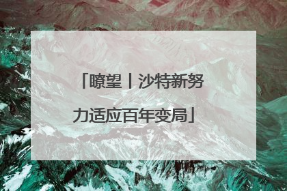 瞭望丨沙特新努力适应百年变局