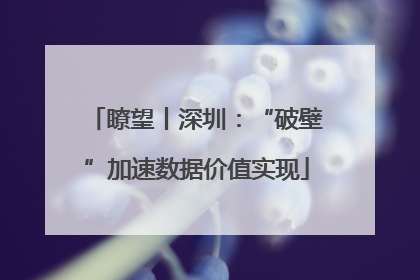 瞭望丨深圳：“破壁”加速数据价值实现