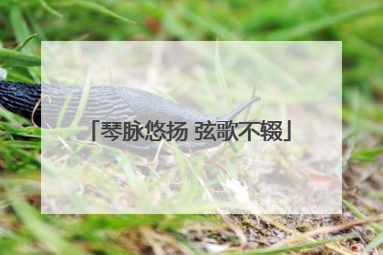 琴脉悠扬 弦歌不辍