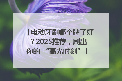 电动牙刷哪个牌子好？2025推荐，刷出你的 “高光时刻”