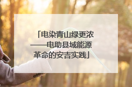 电染青山绿更浓——电助县域能源革命的安吉实践