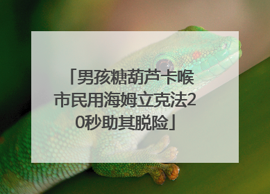 男孩糖葫芦卡喉 市民用海姆立克法20秒助其脱险