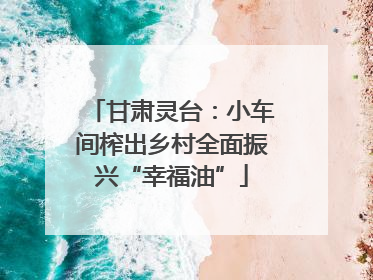 甘肃灵台：小车间榨出乡村全面振兴“幸福油”