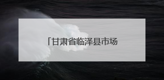 甘肃省临泽县市场监管局：快检小举措 护航大民生