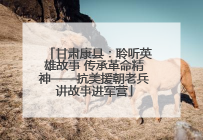 甘肃康县：聆听英雄故事 传承革命精神——抗美援朝老兵讲故事进军营