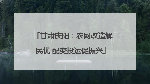 甘肃庆阳：农网改造解民忧 配变投运促振兴