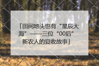 田间地头也有“星辰大海”——三位“00后”新农人的夏收故事