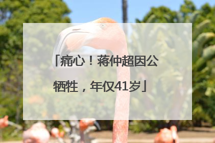 痛心！蒋仲超因公牺牲，年仅41岁