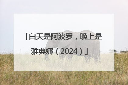 白天是阿波罗，晚上是雅典娜（2024）