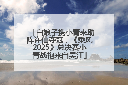 白娘子携小青来助阵许仙夺冠，《乘风2025》总决赛小青战袍来自吴江