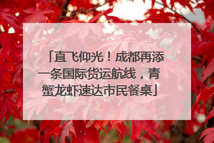 直飞仰光！成都再添一条国际货运航线，青蟹龙虾速达市民餐桌