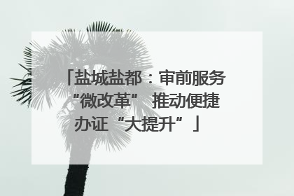 盐城盐都：审前服务“微改革” 推动便捷办证“大提升”