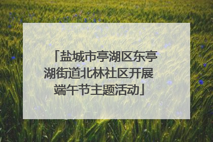 盐城市亭湖区东亭湖街道北林社区开展端午节主题活动