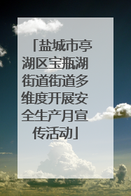 盐城市亭湖区宝瓶湖街道街道多维度开展安全生产月宣传活动