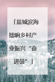 盐城滨海擂响乡村产业振兴“奋进鼓”