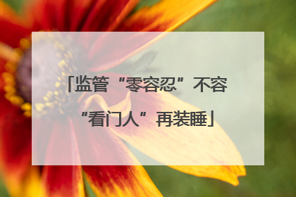 监管“零容忍”不容“看门人”再装睡