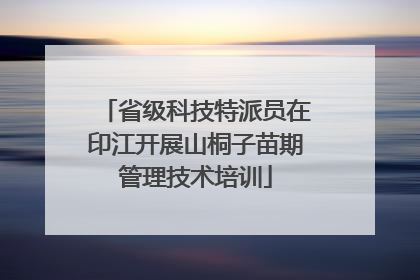 省级科技特派员在印江开展山桐子苗期管理技术培训
