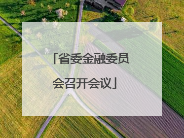 省委金融委员会召开会议