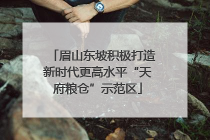 眉山东坡积极打造新时代更高水平“天府粮仓”示范区
