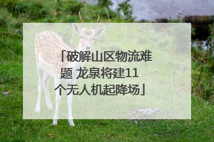 破解山区物流难题 龙泉将建11个无人机起降场