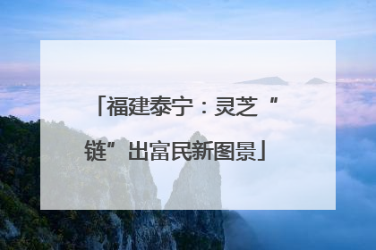 福建泰宁：灵芝“链”出富民新图景