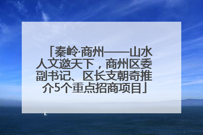 秦岭·商州——山水人文邀天下，商州区委副书记、区长支朝奇推介5个重点招商项目