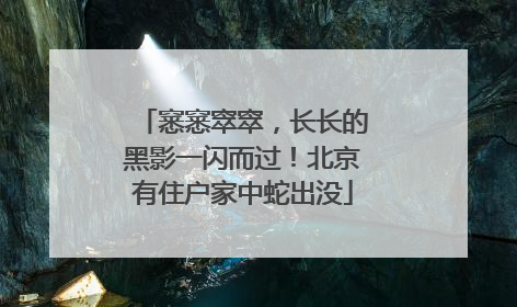 窸窸窣窣，长长的黑影一闪而过！北京有住户家中蛇出没