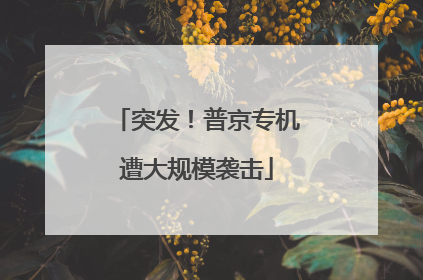 突发！普京专机遭大规模袭击
