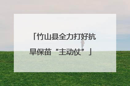 竹山县全力打好抗旱保苗“主动仗”