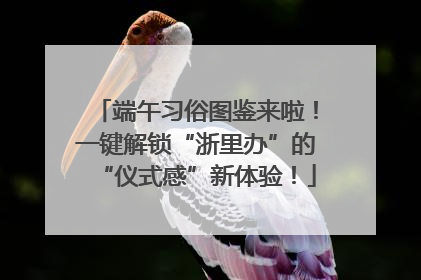 端午习俗图鉴来啦！一键解锁“浙里办”的“仪式感”新体验！