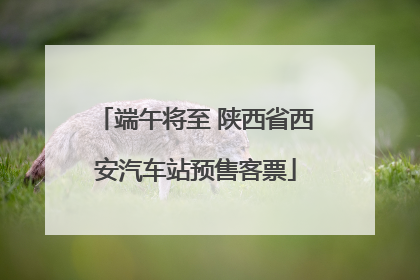 端午将至 陕西省西安汽车站预售客票