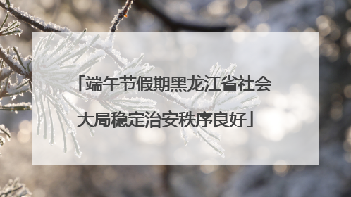 端午节假期黑龙江省社会大局稳定治安秩序良好