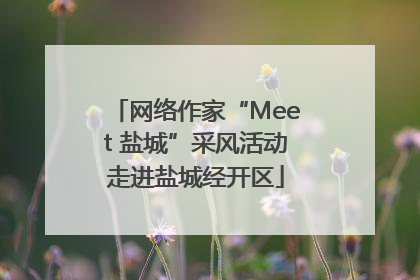 网络作家“Meet 盐城”采风活动走进盐城经开区