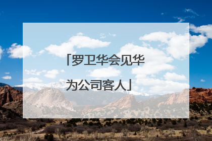 罗卫华会见华为公司客人