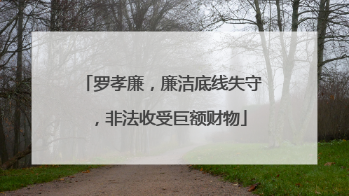 罗孝廉，廉洁底线失守，非法收受巨额财物