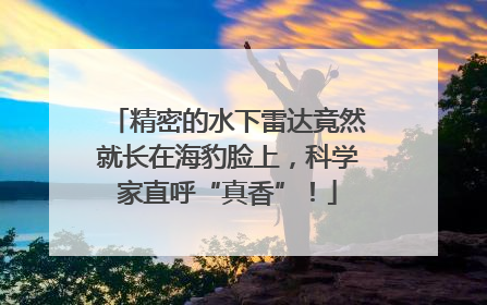 精密的水下雷达竟然就长在海豹脸上，科学家直呼“真香”！