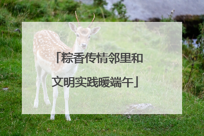 粽香传情邻里和 文明实践暖端午
