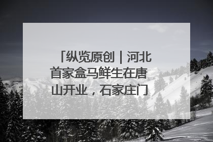 纵览原创｜河北首家盒马鲜生在唐山开业，石家庄门店预计8月开业