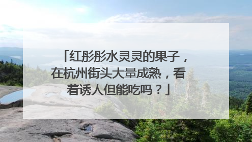 红彤彤水灵灵的果子，在杭州街头大量成熟，看着诱人但能吃吗？