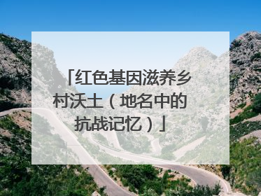 红色基因滋养乡村沃土（地名中的抗战记忆）