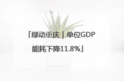 绿动重庆｜单位GDP能耗下降11.8%